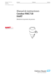 Endress+Hauser Cerabar PMC71B Manual De Instrucciones