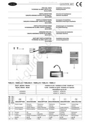 Carrier 42DWC16 Instrucciones De Instalación