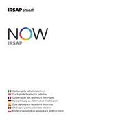 IRSAP NOW Guía Rápida