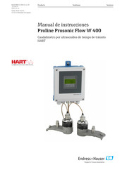 Endress+Hauser Proline Prosonic Flow W 400 Manual De Instrucciones