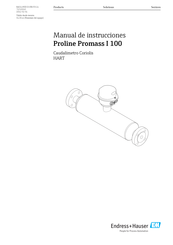 Endress+Hauser Proline Promass I 100 Manual De Instrucciones