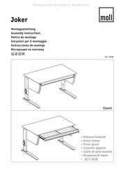 moll Joker Manual De Instrucciones