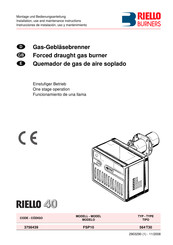 Riello Burners 3756439 Instrucciones De Instalación, Uso Y Mantenimiento