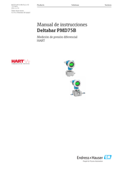 Endress+Hauser Deltabar PMD75B Manual De Instrucciones