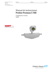 Endress+Hauser Proline Promass S 300 Manual De Instrucciones