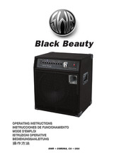 SWR BLACK BEAUTY Instrucciones De Funcionamiento