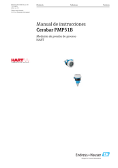 Endress+Hauser Cerabar PMP51B Manual De Instrucciones