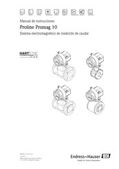 Endress+Hauser Proline Promag 10 Manual De Instrucciones