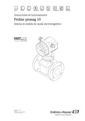 Endress+Hauser Proline Promag 10 Manual De Instrucciones