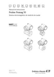 Endress+Hauser Proline Promag 50 Manual De Instrucciones