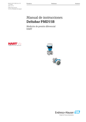 Endress+Hauser Deltabar PMD55B Manual De Instrucciones