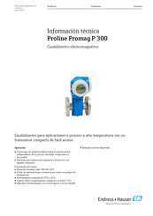 Endress+Hauser Proline Promag P 300 Información Técnica