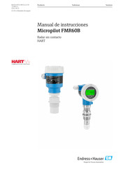 Endress+Hauser Micropilot FMR60B Manual De Instrucciones