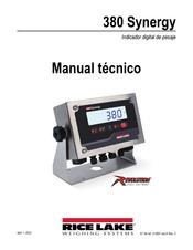 Rice Lake 380 Synergy Manual Tecnico