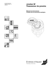 Endress+Hauser Cerabar M PMP 45 Manual De Instrucciones