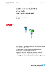 Endress+Hauser Micropilot FMR66B Manual De Instrucciones Abreviado