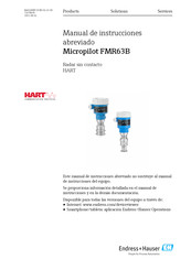 Endress+Hauser Micropilot FMR63B Manual De Instrucciones Abreviado