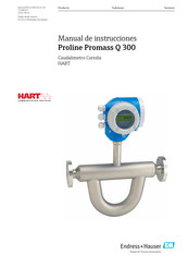 Endress+Hauser Proline Promass Q 300 Manual De Instrucciones