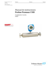 Endress+Hauser Proline Promass I 300 Manual De Instrucciones