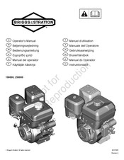 Briggs & Stratton 250000 Manual Del Operador