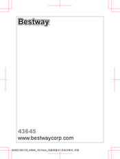 Bestway 43645 Manual Del Usuario