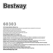 Bestway 60303 Manual De Instrucciones