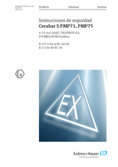 Endress+Hauser Cerabar S PMP71 Instrucciones De Seguridad