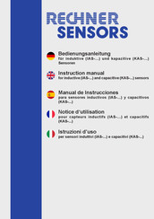 Rechner Sensors IAS Serie Manual De Instrucciones