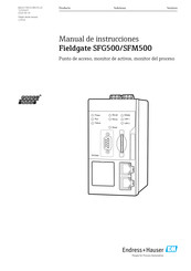 Endress+Hauser Fieldgate SFM500 Manual De Instrucciones
