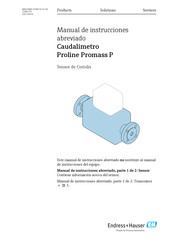 Endress+Hauser Proline Promass P Manual De Instrucciones Abreviado