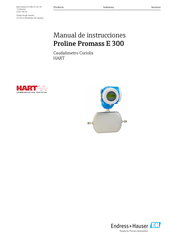 Endress+Hauser Proline Promass E 300 Manual De Instrucciones