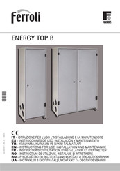 Ferroli ENERGY TOP B 250 Instrucciones De Uso, Instalación Y Mantenimiento