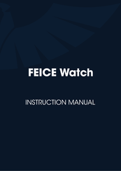 FEICE FM301 Manual De Instrucciones