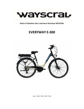 Wayscral EVERYWAY E-300 Manual De Usuario