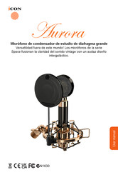 ICON ProAudio Aurora Manual Del Usuario