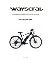 Wayscral ANYWAY E-100 Manual De Instrucciones