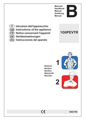 Angelo Po 1G0PEVTR Instrucciones