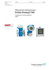 Endress+Hauser Proline Promag P 500 Manual De Instrucciones