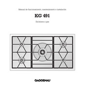 Gaggenau KG 491 Manual De Funcionamiento Mantenimiento E Instalación