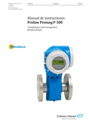 Endress+Hauser Proline Promag P 300 Manual De Instrucciones