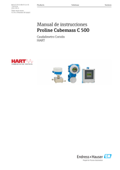 Endress+Hauser Proline Cubemass C 500 Manual De Instrucciones