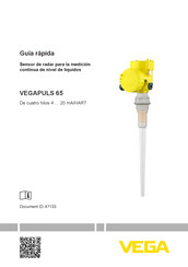 Vega VEGAPULS 65 Guía Rápida