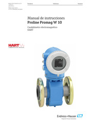 Endress+Hauser Proline Promag W 10 Manual De Instrucciones