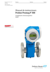 Endress+Hauser Proline Promag P 300 Manual De Instrucciones