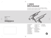 Bosch GWS 19-125 CIE Professional Manual Original