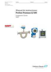 Endress+Hauser Proline Promass Q 500 Manual De Instrucciones