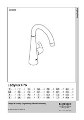 Grohe Ladylux Pro 30 026SD0 Instrucciones De Instalación