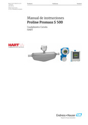 Endress+Hauser Proline Promass A 500 Manual De Instrucciones