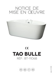 spalina TAO Bulle BT-1106B Manual De Instrucciones