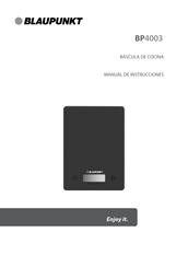 Blaupunkt BP4003 Manual De Instrucciones